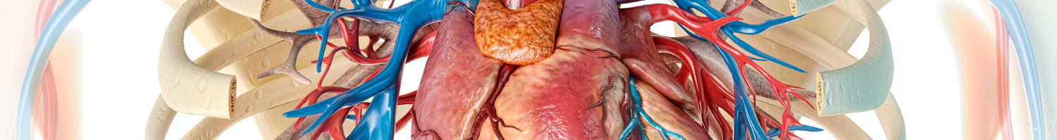 2026 EDW Cardiac M&M (RSS) Banner